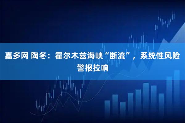 嘉多网 陶冬：霍尔木兹海峡“断流”，系统性风险警报拉响